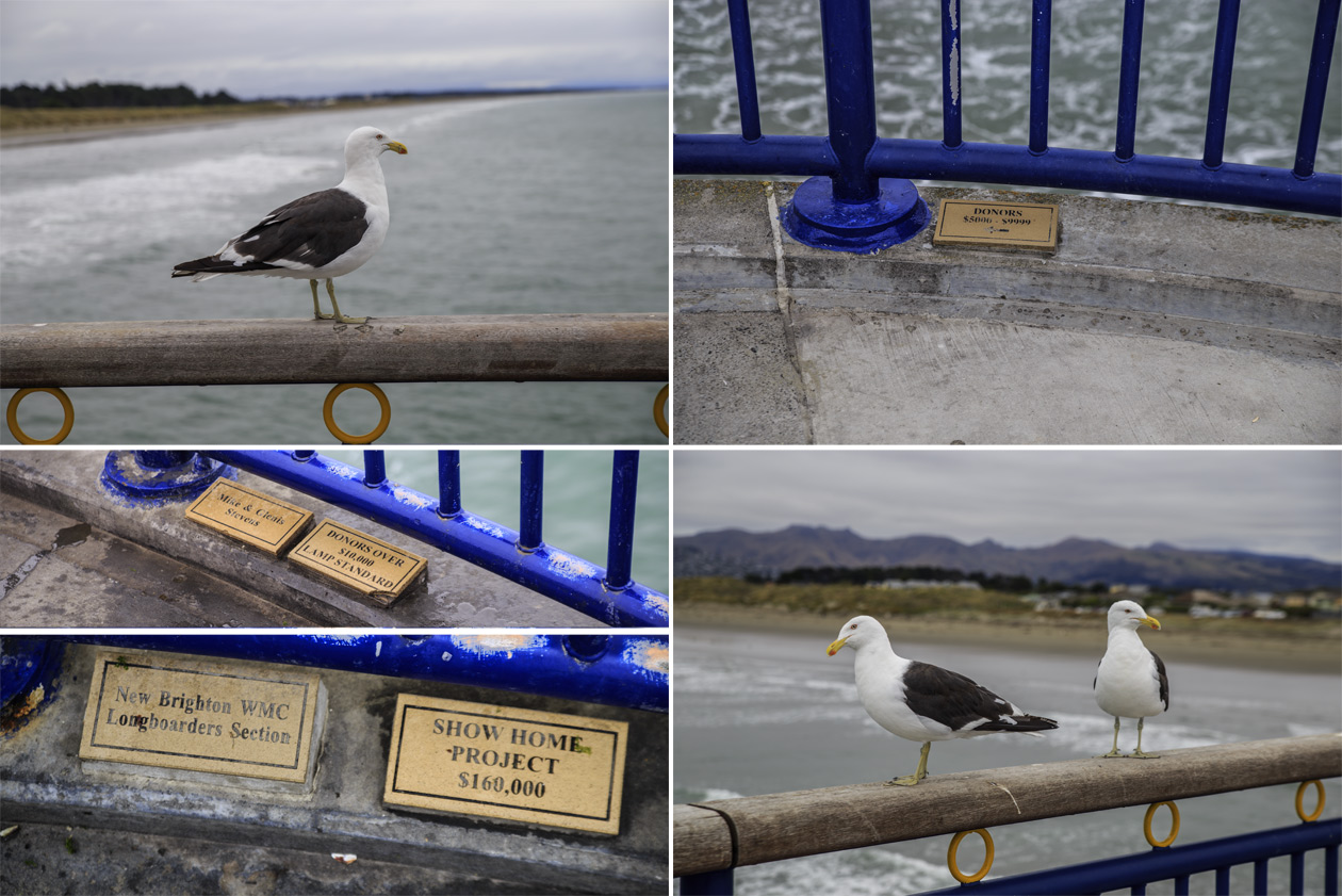  (Christchurch),  New Brighton.<br>  .    ,     .