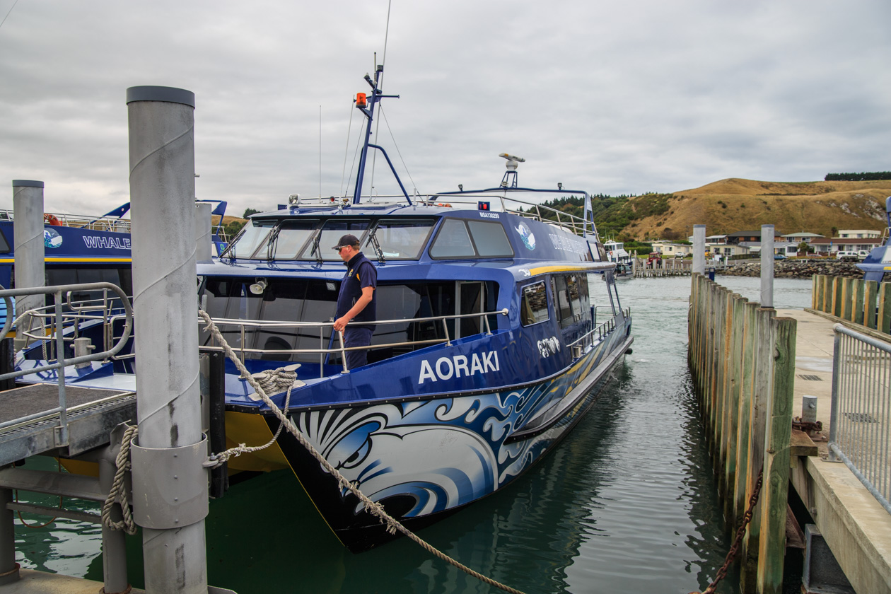  (Kaikoura),   South Bay.<br>       Aoraki,      .