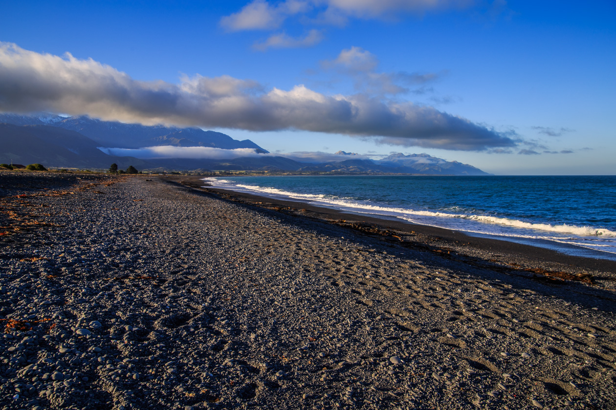  (Kaikoura).<br>         .