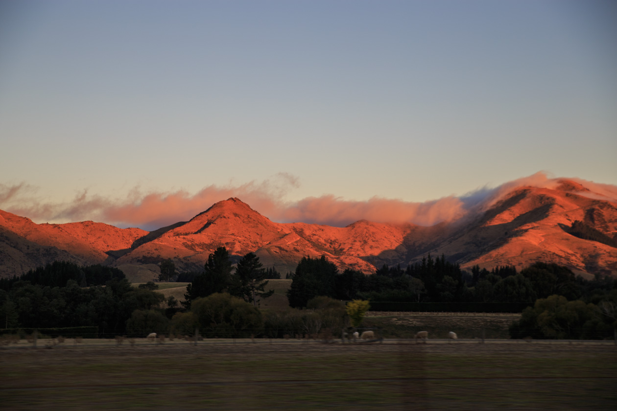      (Kaikoura)   (Christchurch).<br>   .