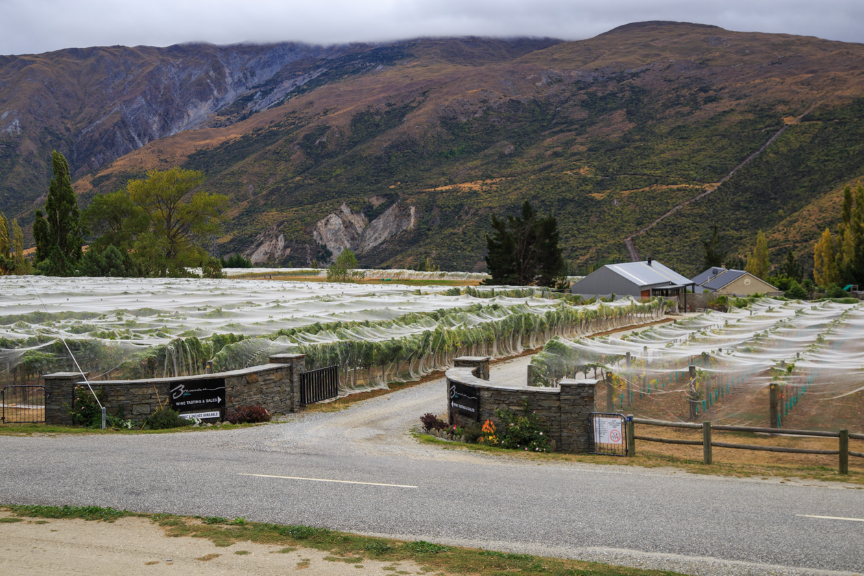      (Milford Sound)       Mt Rosa Wine.