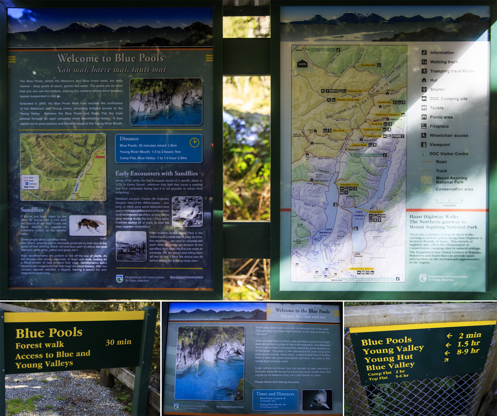      Mount Aspiring     (Makarora River).<br>     Blue Pools.