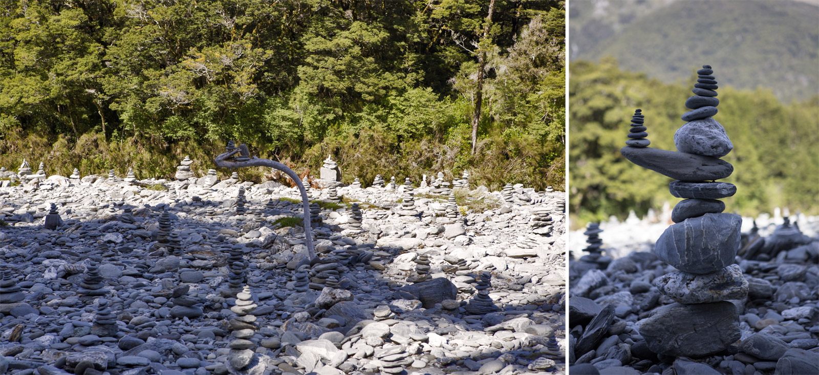     Mount Aspiring.<br>       Blue River  Makarora River     .   .