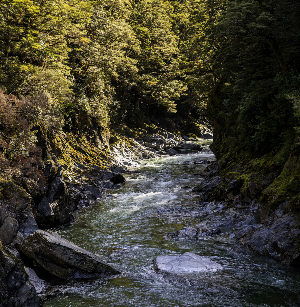     Mount Aspiring.<br>  Blue River.