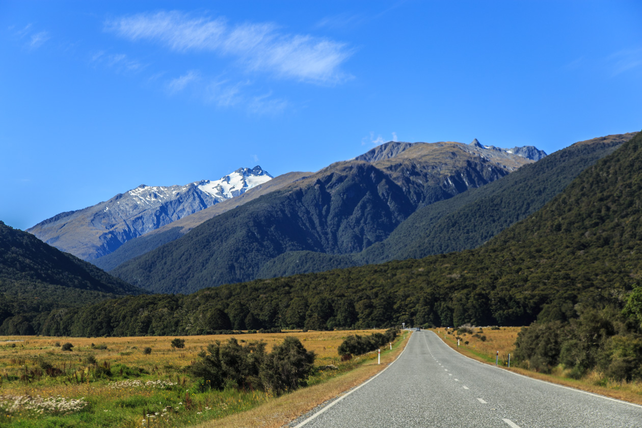     Haast Pass.<br>    (South Alps)   .