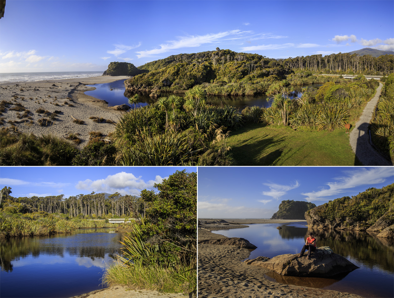    Tauperikaka Point.<br>    Ship Creek     .