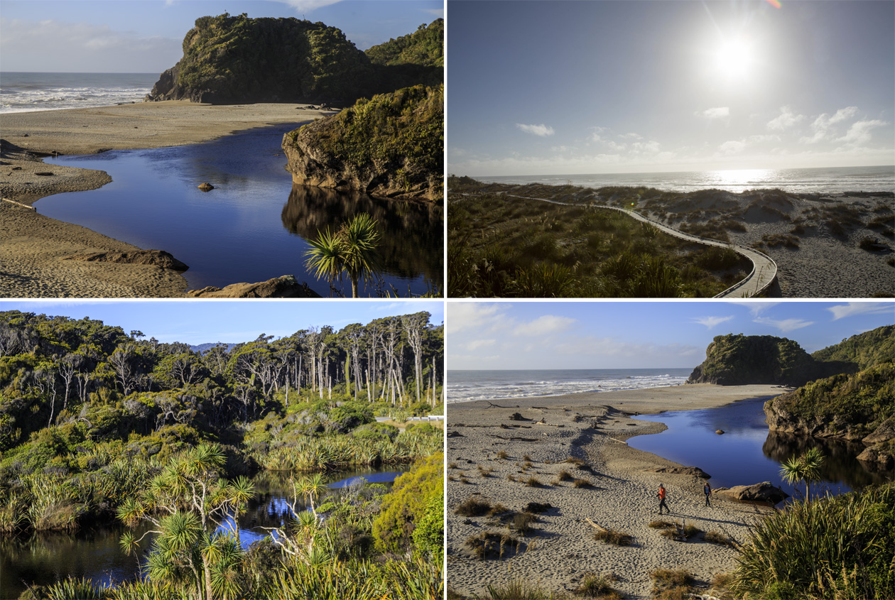    Tauperikaka Point.<br>       Ship Creek,       .