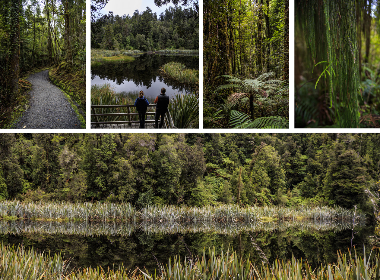     (Lake Matheson).<br>    .