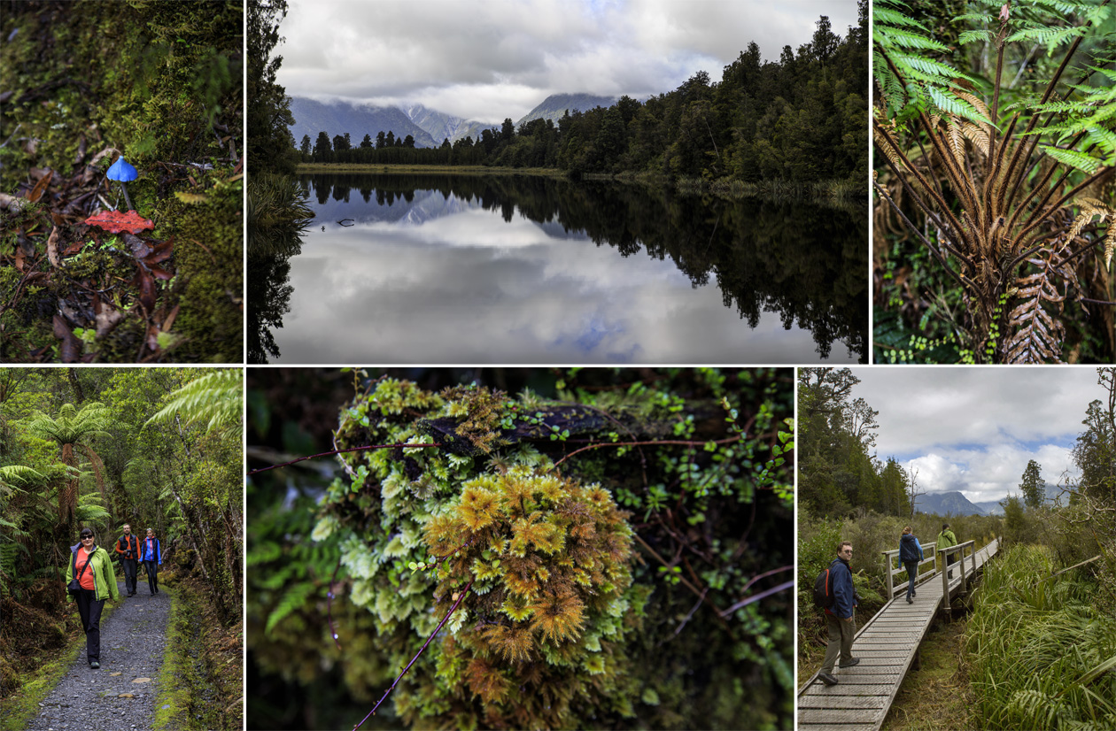     (Lake Matheson).<br>       .