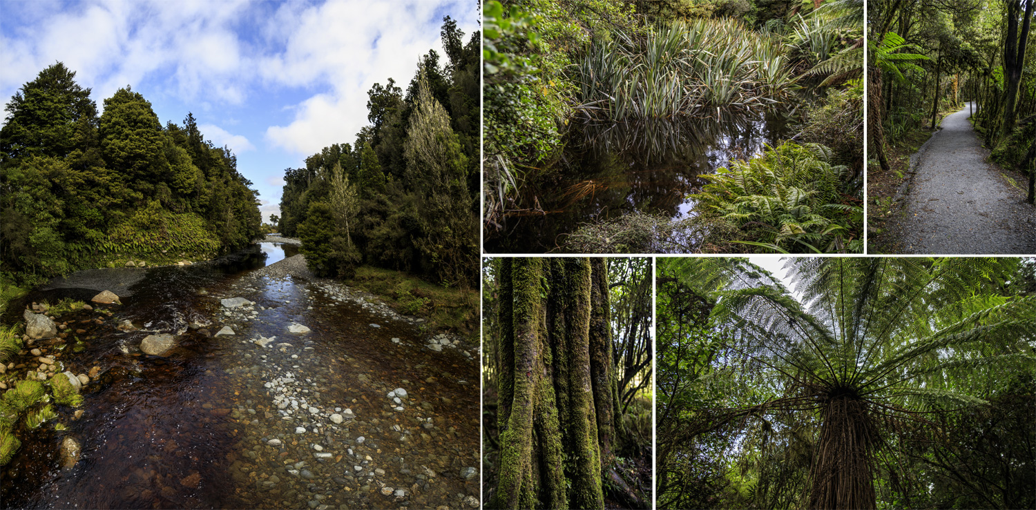     (Lake Matheson).<br>, ,   .