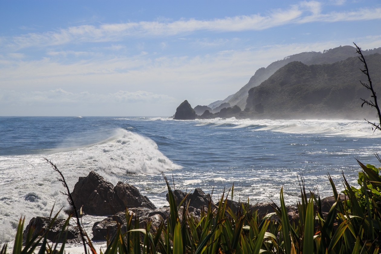     ,         Paparoa.