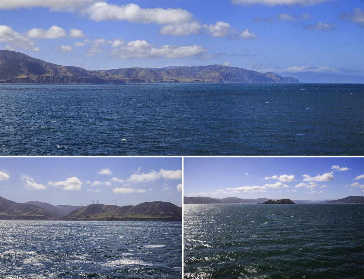   Arahura    (Cook Strait).<br>  ,        (Wellington Harbour),      (Port Nocholson).