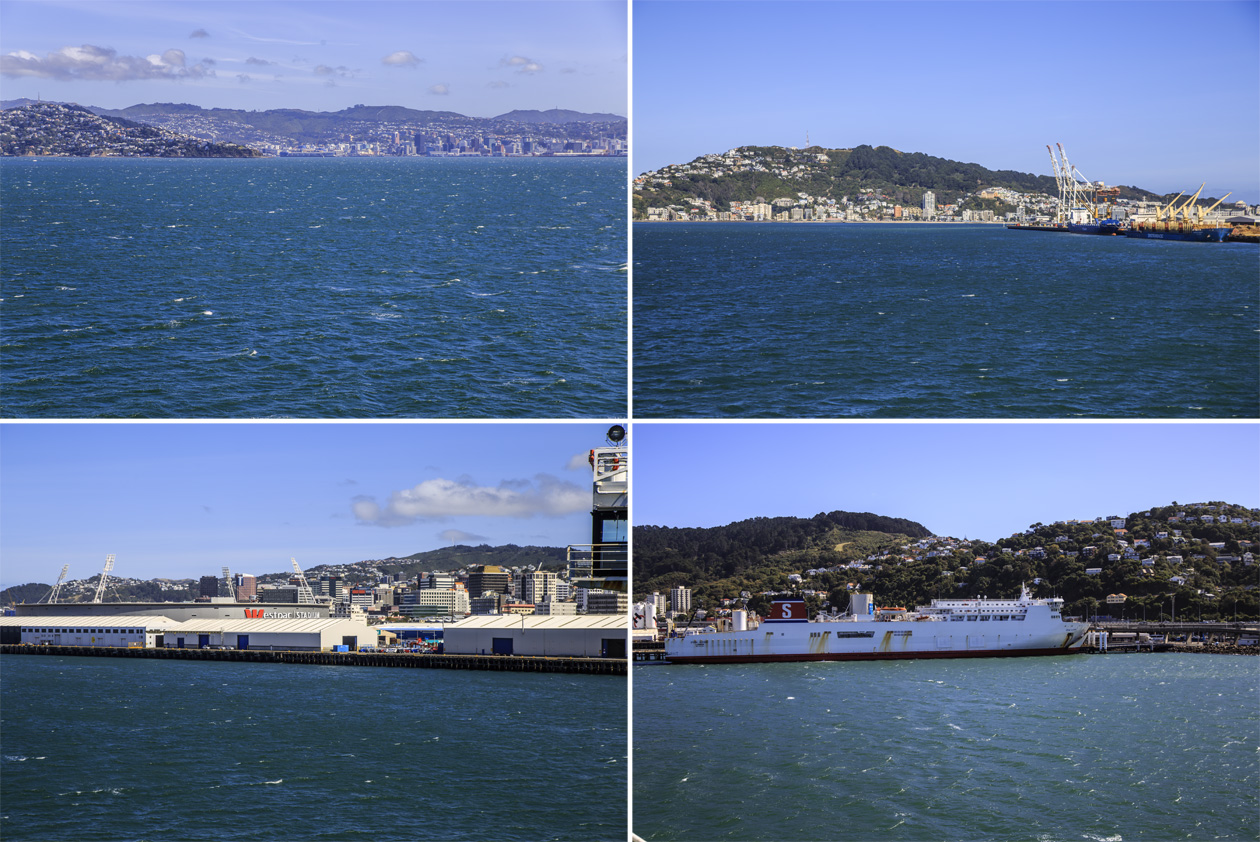   Arahura    (Wellington Harbour),      (Port Nocholson).          (Wellington).