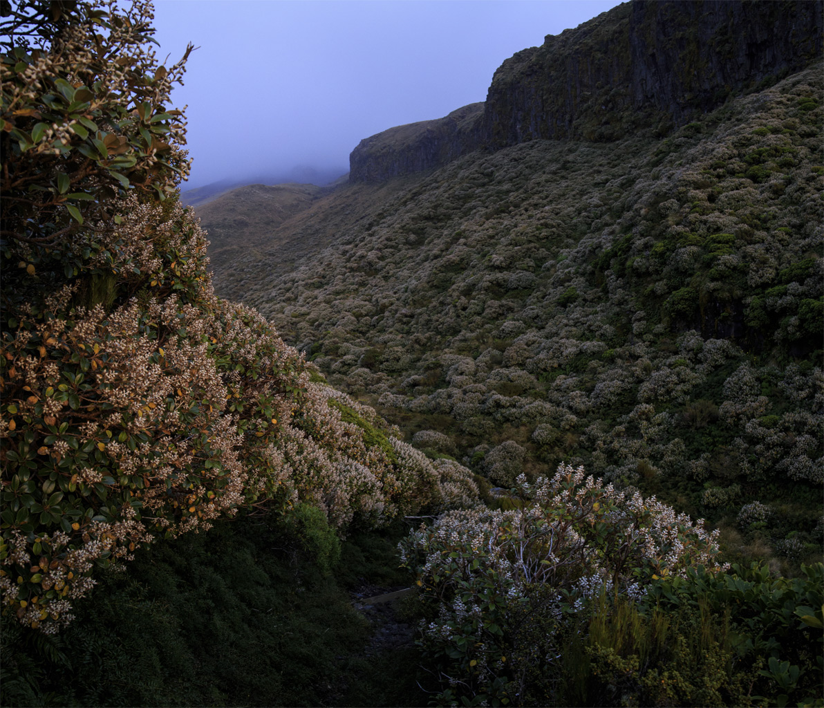     Mt.Egmont/Taranaki    .