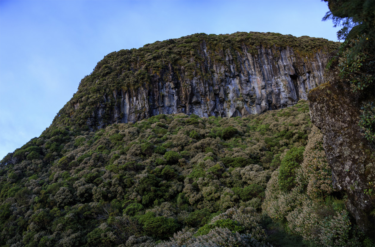     Mt.Egmont/Taranaki.<br>   ,     .     .