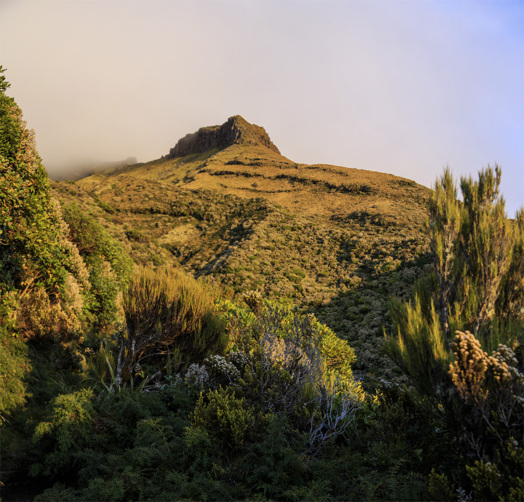     Mt.Egmont/Taranaki.<br>     Warwick Castle.