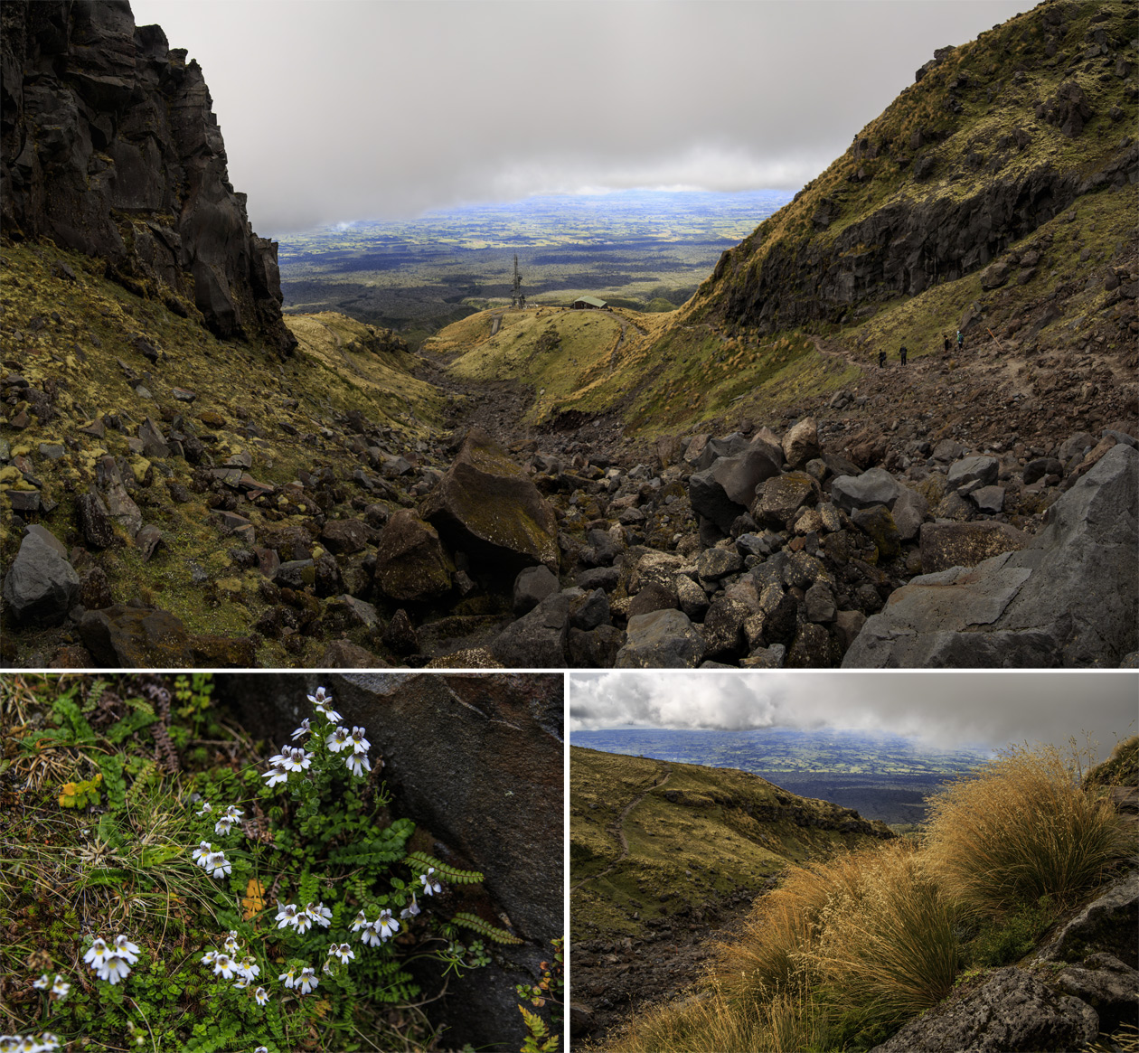     Mt.Egmont/Taranaki.   .