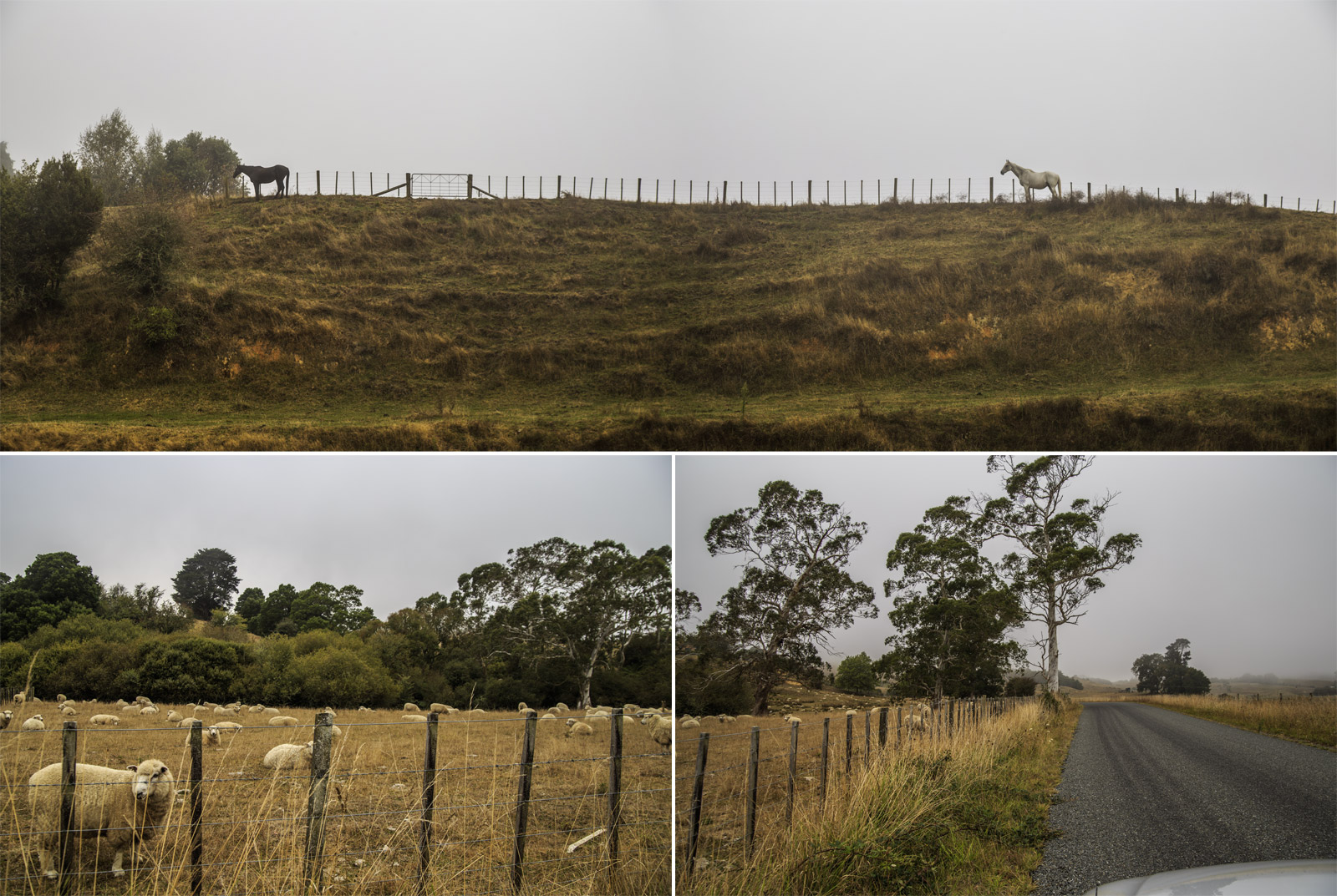         Backland Road,     (Hobbiton).