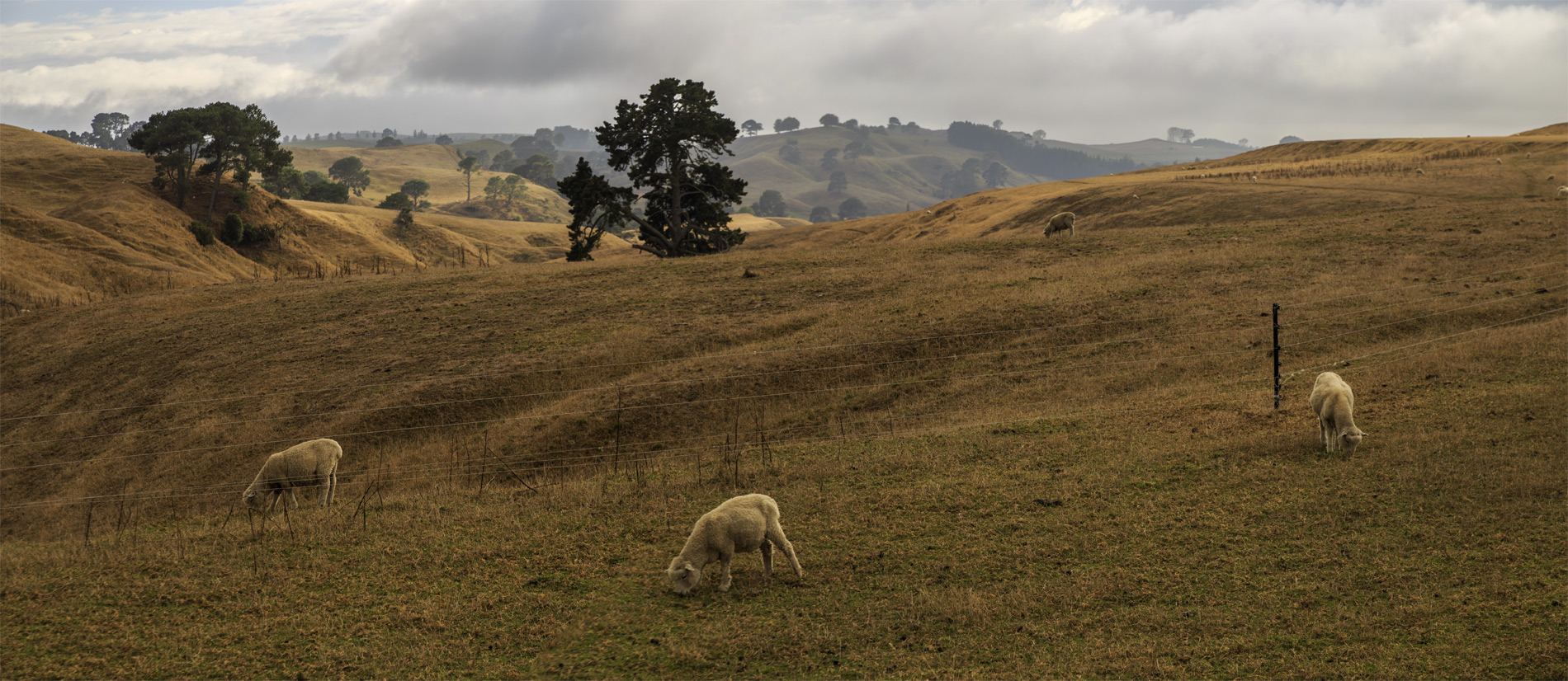      (Hobbiton).