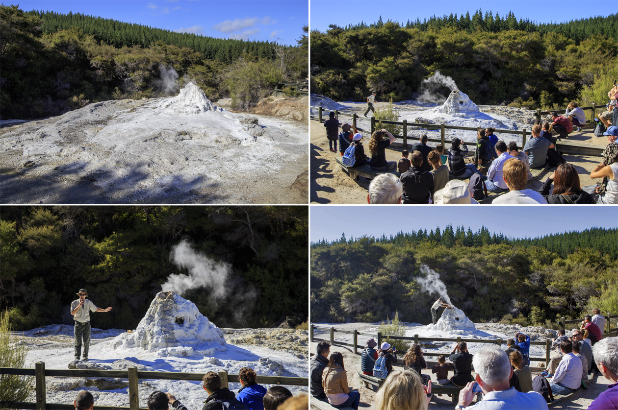  (Rotorua).<br>  Wai-O-Tapu Thermal Wonderland.<br>    (Lady Knox Geyser)   ,     ,   -   .