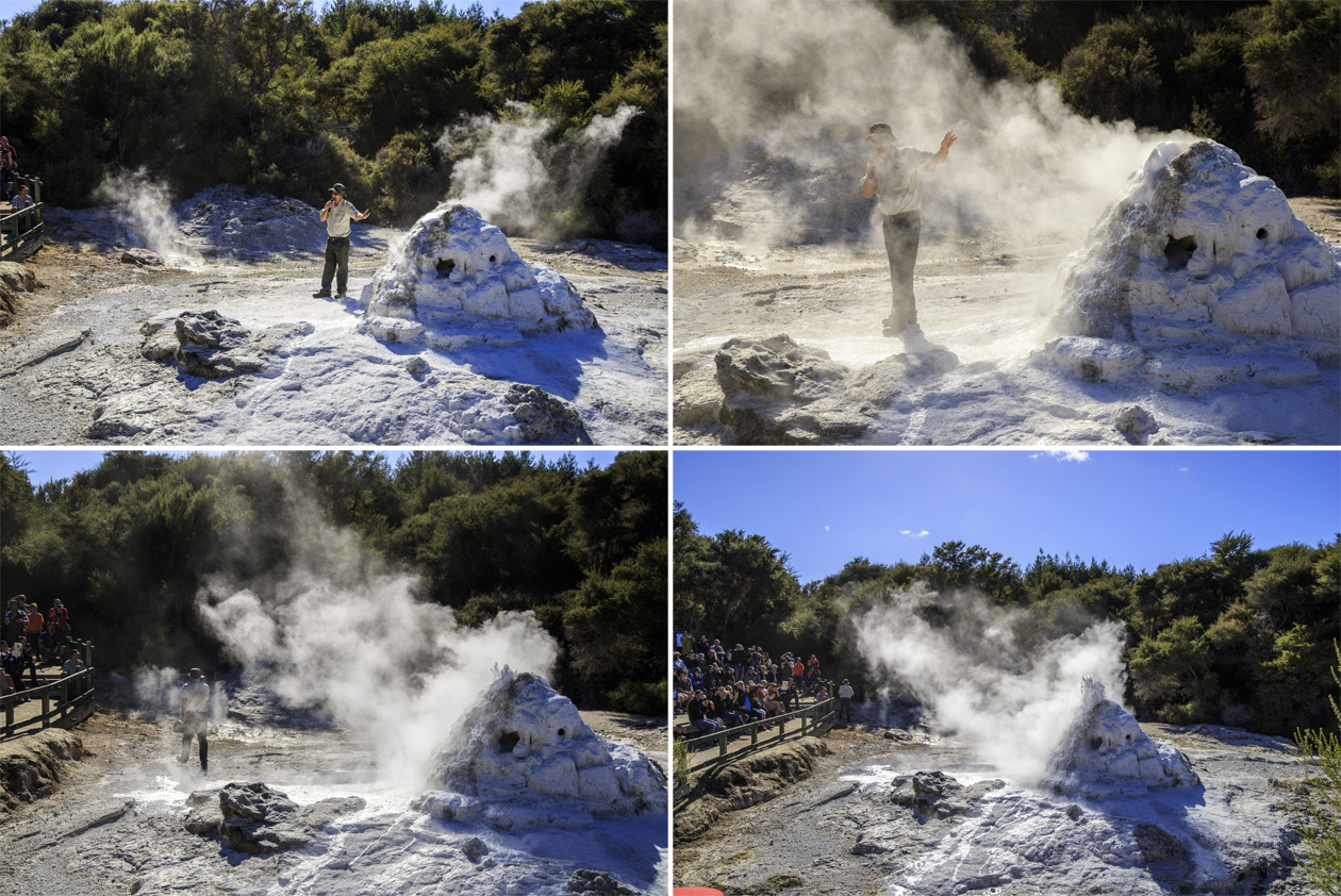  (Rotorua).<br>  Wai-O-Tapu Thermal Wonderland.<br>  -,    (Lady Knox Geyser)  ,       .