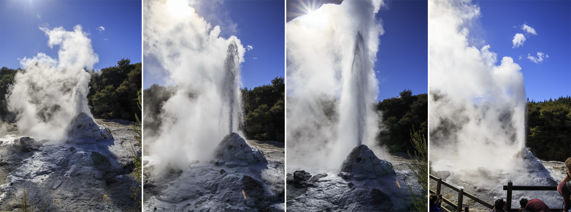  (Rotorua).<br>  Wai-O-Tapu Thermal Wonderland.<br>,       (Lady Knox Geyser).