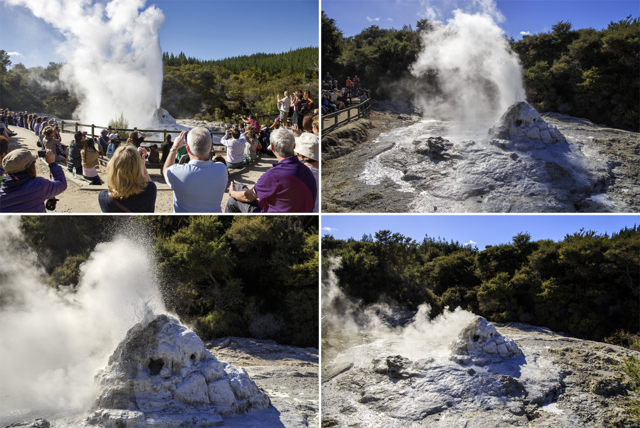  (Rotorua).<br>  Wai-O-Tapu Thermal Wonderland.<br>      (Lady Knox Geyser).