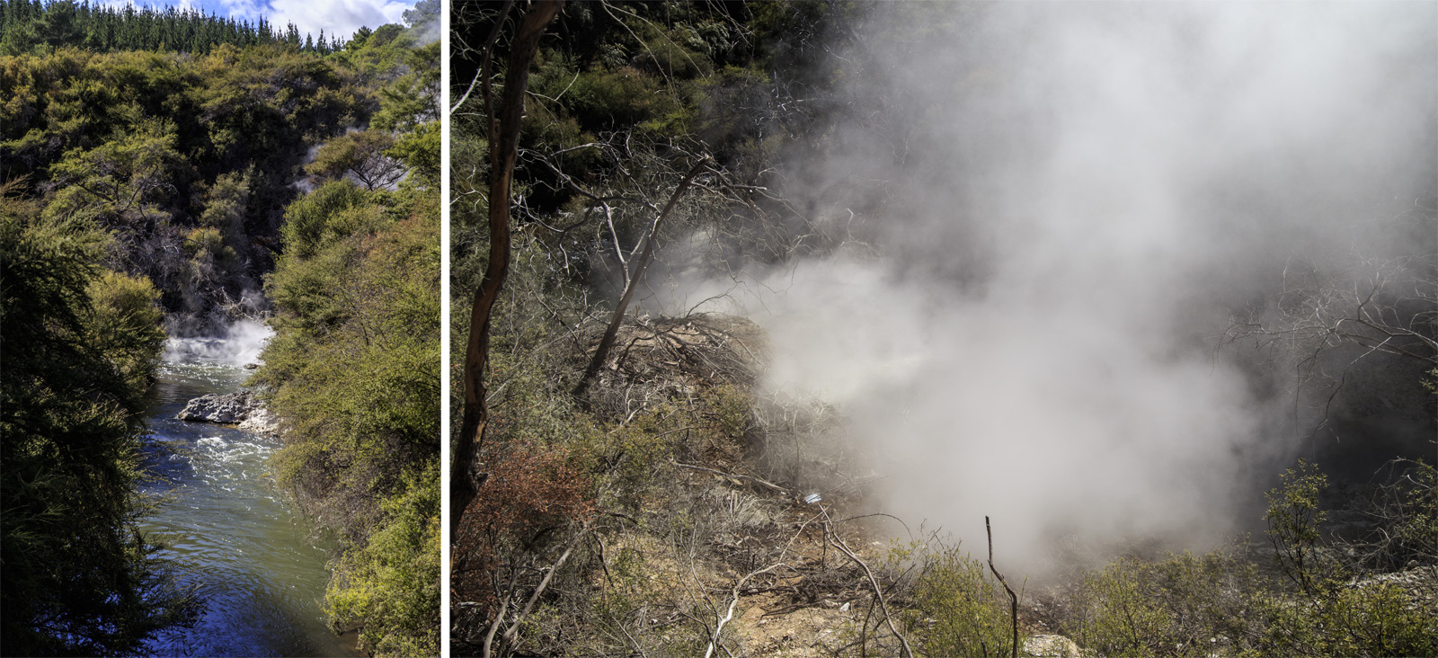  (Rotorua).<br>  Wai-O-Tapu Thermal Wonderland.<br>    ,    .