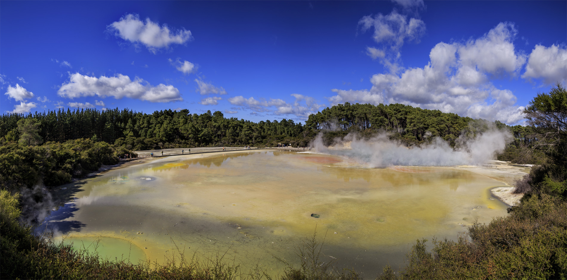  (Rotorua).<br>  Wai-O-Tapu Thermal Wonderland.<br>  (Artist's Palette).