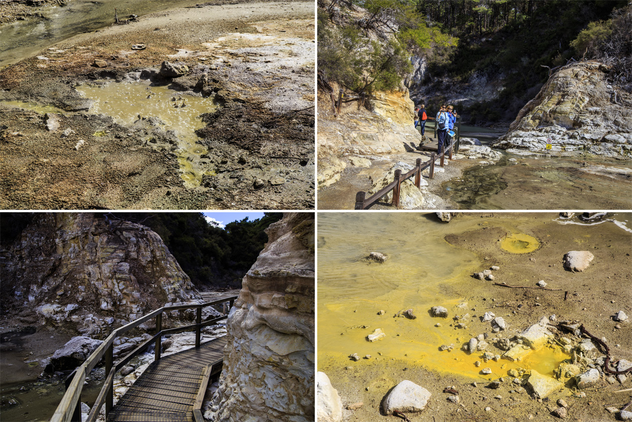  (Rotorua).<br>  Wai-O-Tapu Thermal Wonderland.<br>-   -- (Wai-O-Tapu Gayser).     ,       .