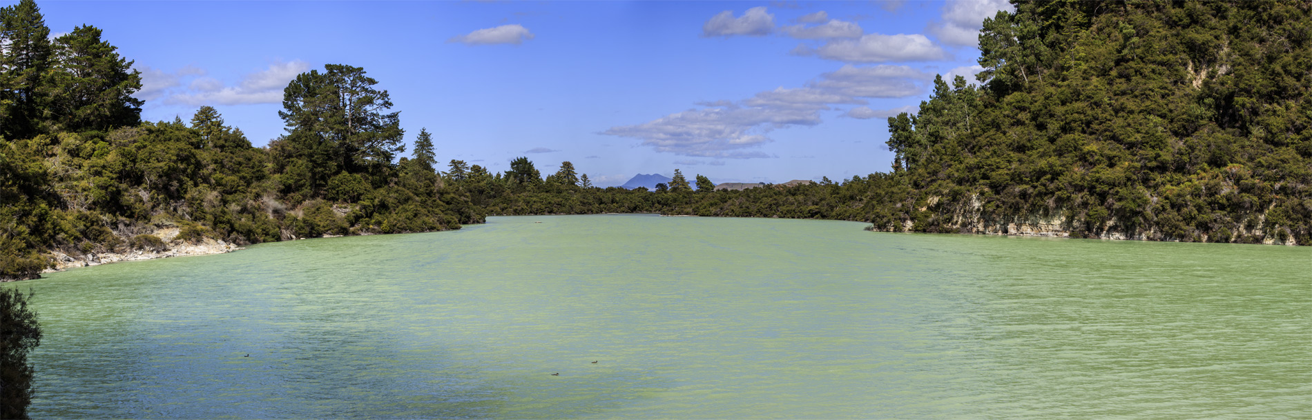  (Rotorua).<br>  Wai-O-Tapu Thermal Wonderland.<br>  (Lake Ngakoro).