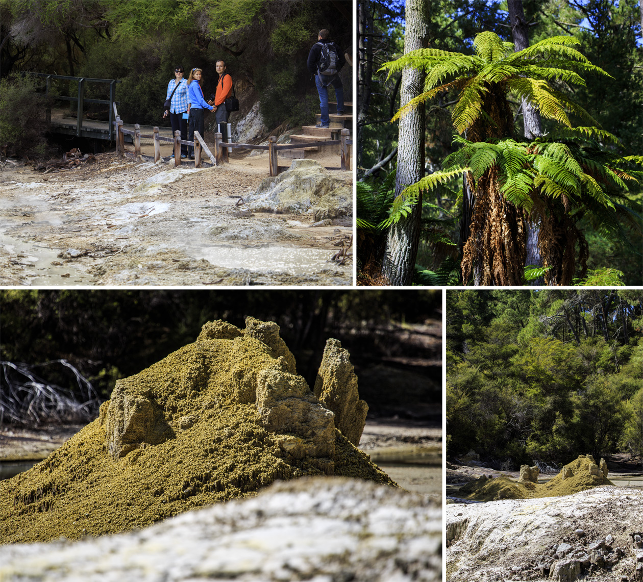  (Rotorua).<br>  Wai-O-Tapu Thermal Wonderland.<br>  (Sulphur Mounds).