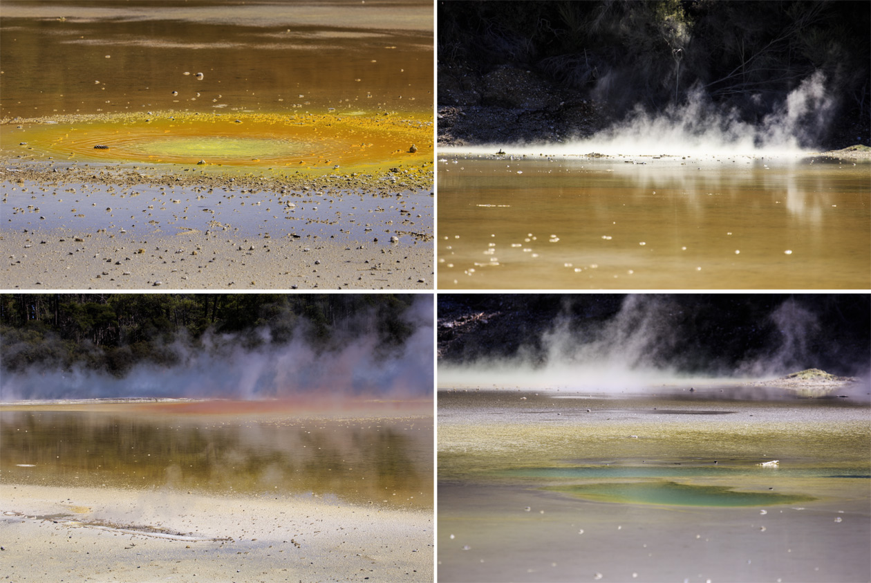  (Rotorua).<br>  Wai-O-Tapu Thermal Wonderland.<br>  (Artist's Palette)   .