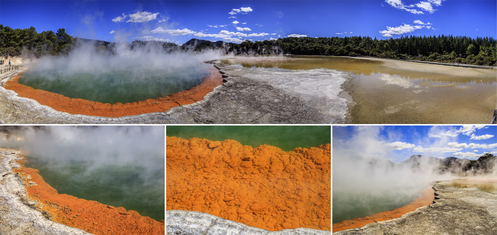  (Rotorua).<br>  Wai-O-Tapu Thermal Wonderland.<br>     (The Champagne Pool).