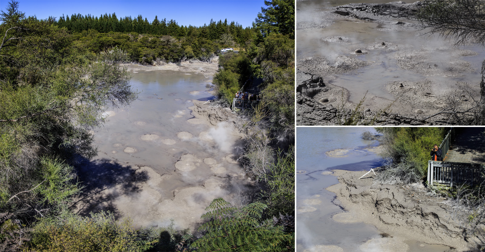  (Rotorua).<br>  Wai-O-Tapu Thermal Wonderland.<br>   Mud Pool.   ,   .