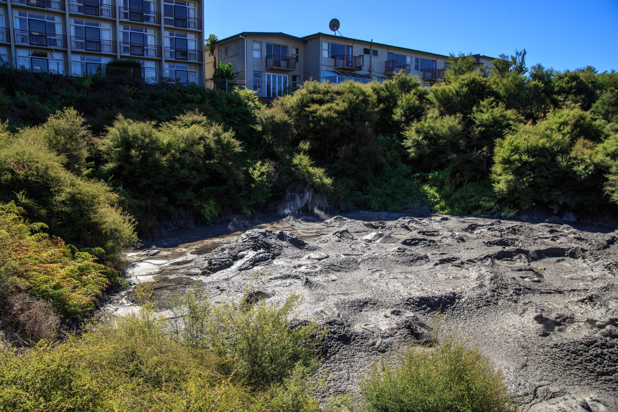  (Rotorua).<br> Te Puia.<br>     (Mud Pools).