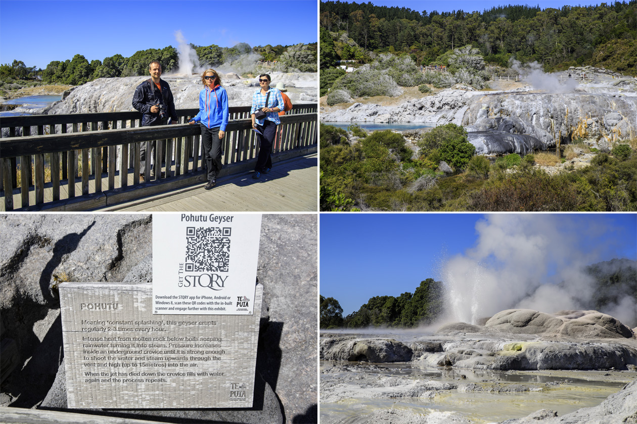  (Rotorua).<br> Te Puia.<br>    (Pohutu Geyser),    .