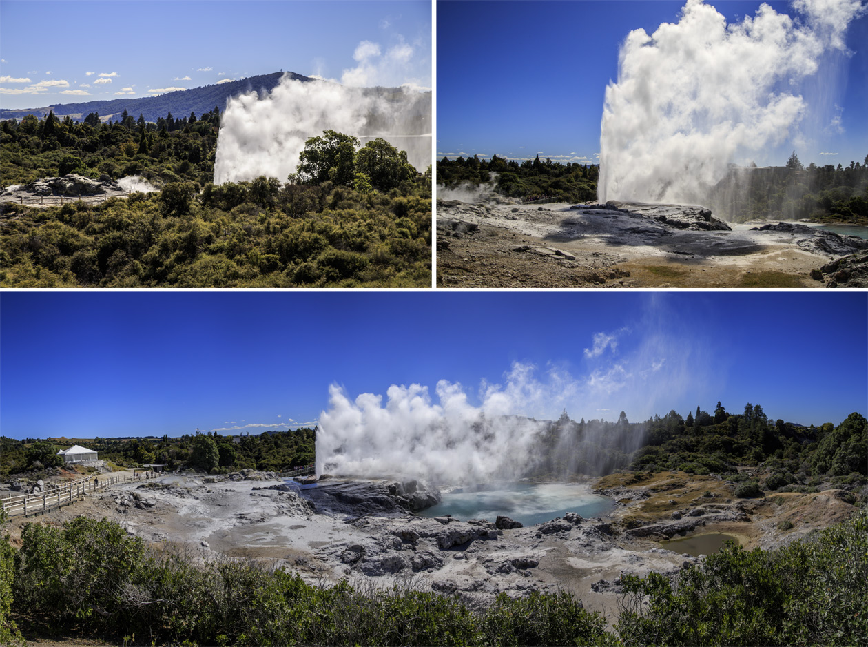  (Rotorua).<br> Te Puia.<br>     (Pohutu Geyser).