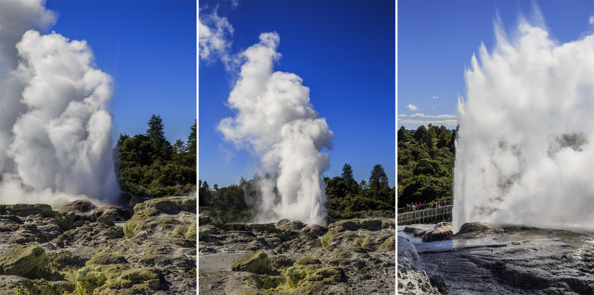  (Rotorua).<br> Te Puia.<br>   (Pohutu Geyser)   .