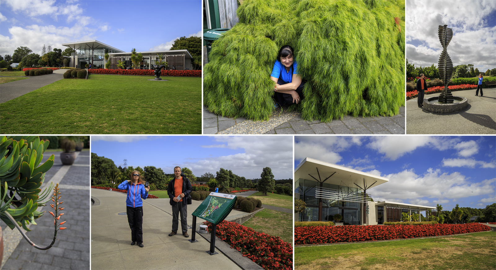      (Auckland Botanic Gardens).<br>.