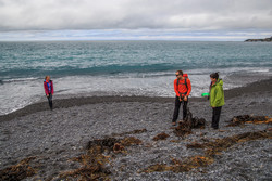  (Kaikoura).    .