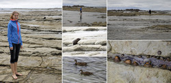  (Kaikoura).      Point Kean.