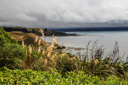  (Kaikoura).       Point Kean Viewing Platform.