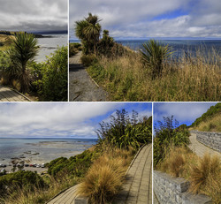  (Kaikoura).     Point Kean Viewing Platform.