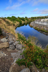  (Kaikoura).  Lyell Creek.