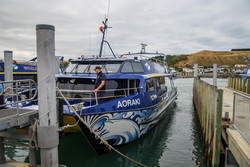  (Kaikoura),   South Bay.        Aoraki,      .