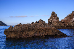  (Kaikoura).  .      Panau Island.