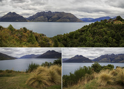        (Wakatipu)   Drift Bay      (Milford Sound).