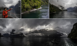      (Milford Sound).      .