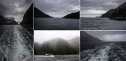      (Milford Sound).           .    .